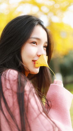 视频观看功能展示